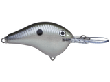 Rapala - DT10 Series Crankbait - Bobber Bargain
