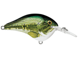 Rapala - DT6 Series Crankbait - Bobber Bargain