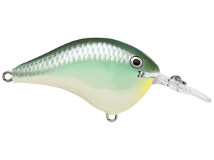 Rapala - DT6 Series Crankbait - Bobber Bargain