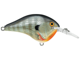 Rapala - DT6 Series Crankbait - Bobber Bargain