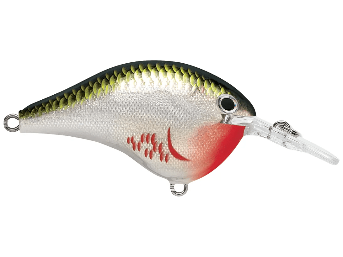 Rapala - DT6 Series Crankbait - Bobber Bargain