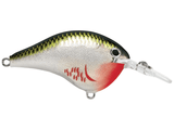 Rapala - DT6 Series Crankbait - Bobber Bargain