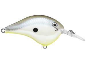 Rapala - DT6 Series Crankbait - Bobber Bargain