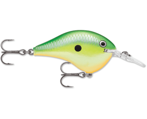 Rapala - DT6 Series Crankbait - Bobber Bargain