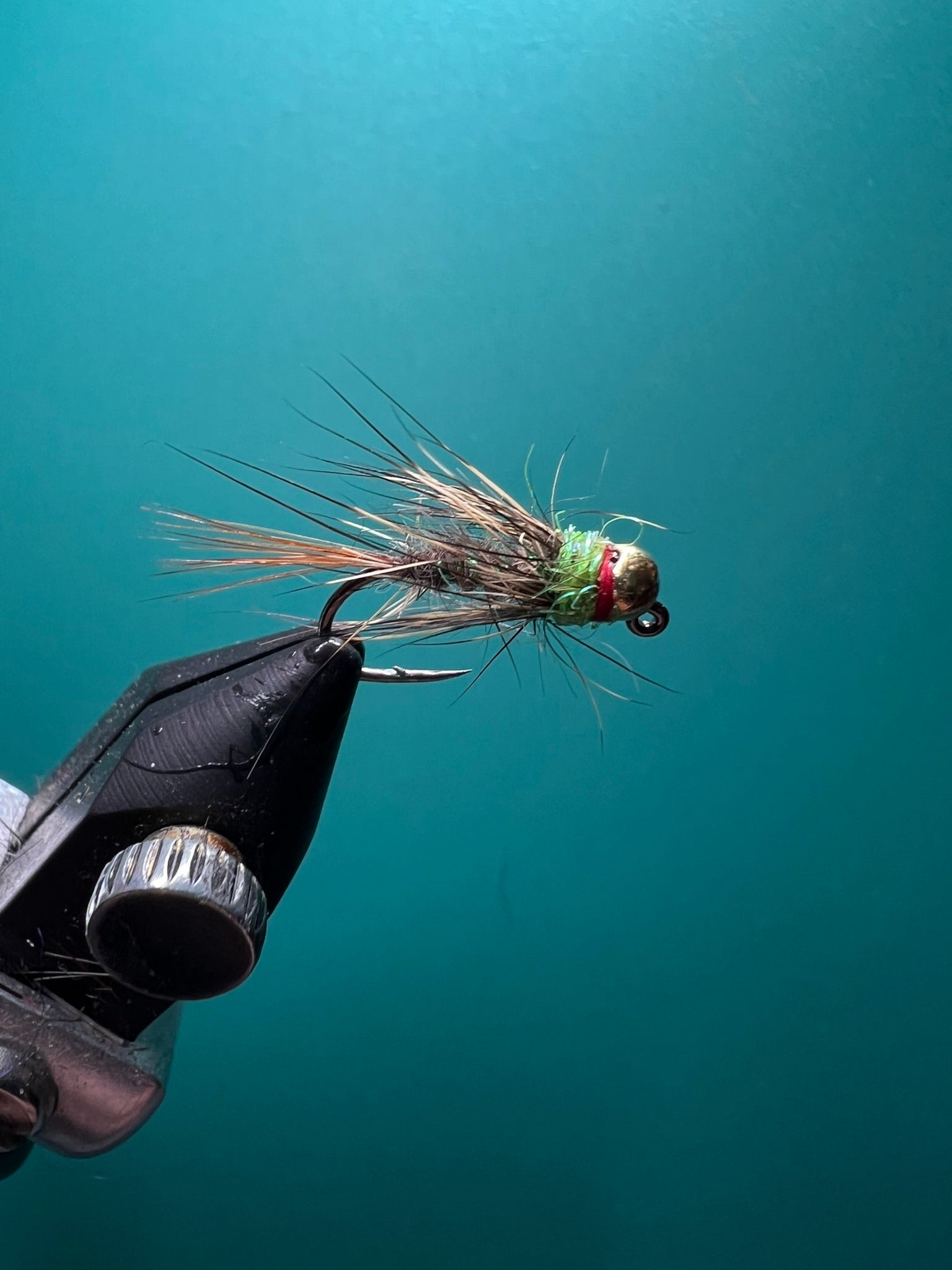 Euro rouge et vert