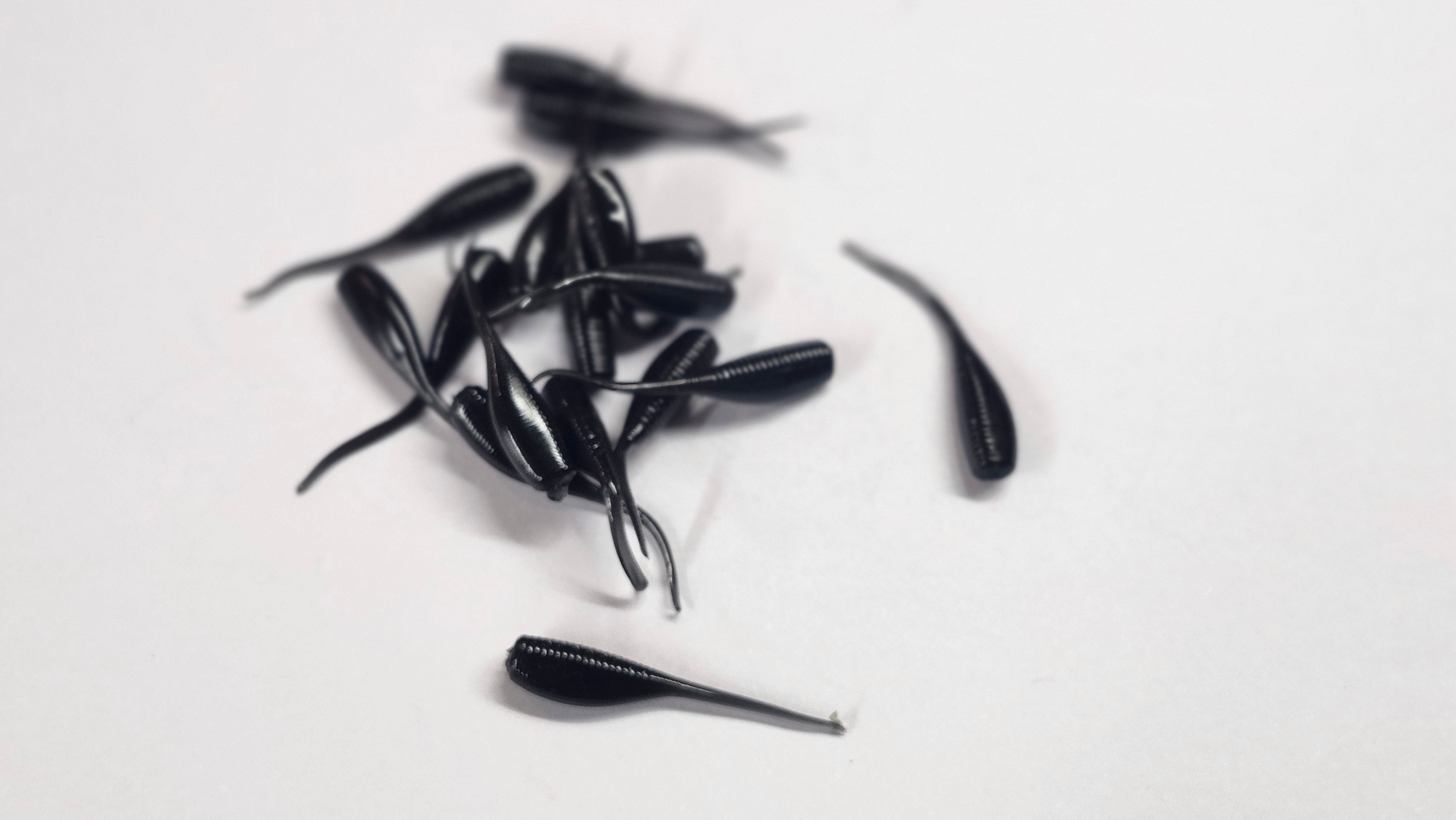 Micro Minnow 1.2 cola de aguijón