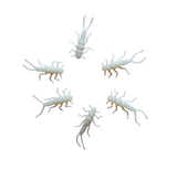 StoneStorm Stonefly Nymphs