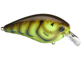 Strike King - KVD Elite 2.5 Squarebill Crankbait - Bobber Bargain