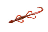 Zoom Baits - Lizard - Bobber Bargain